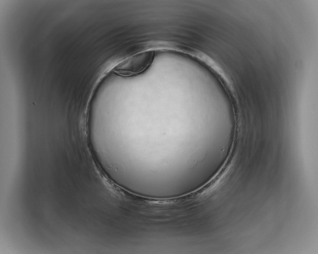 X0000111881145200908061309