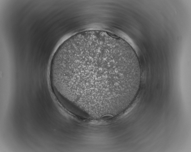 X0000111881146200908061309