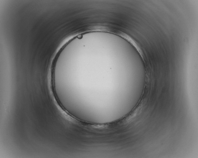 X0000111881147200908061309