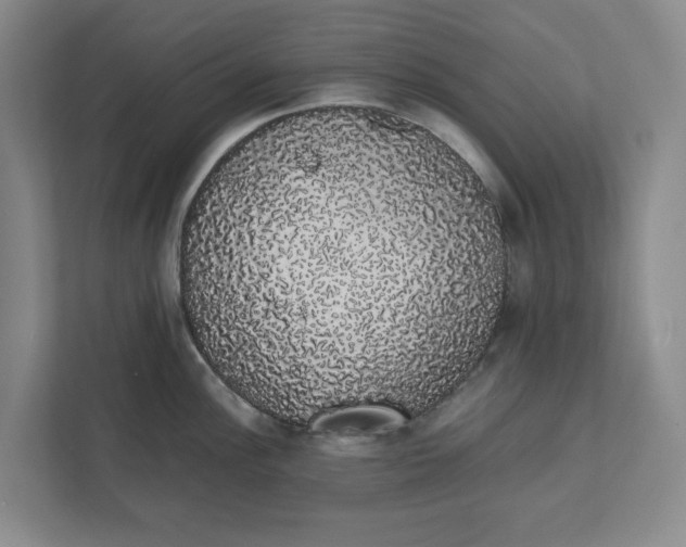 X0000111881148200908061309