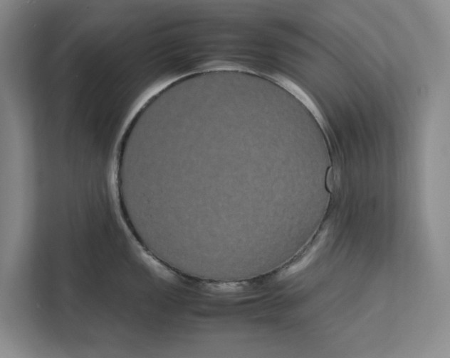 X0000111881149200908061309