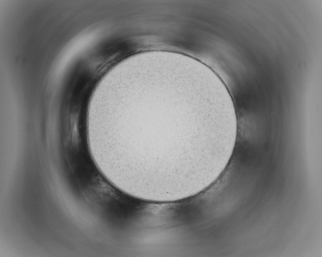 X0000111881150200908061309