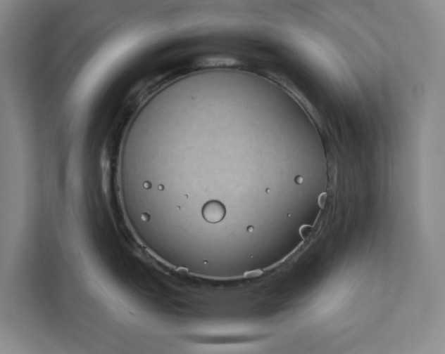 X0000111881151200908061309