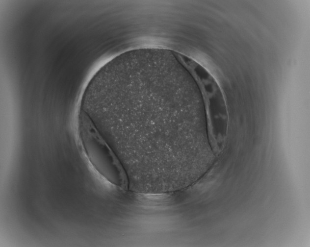 X0000111881152200908061309