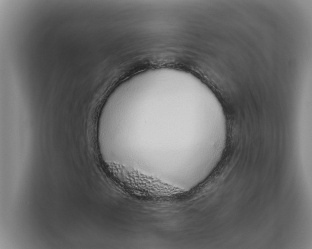 X0000111881153200908061308