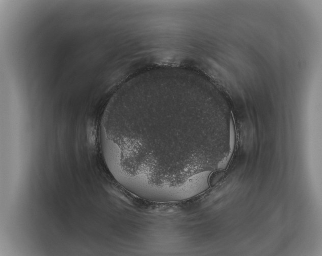 X0000111881154200908061308