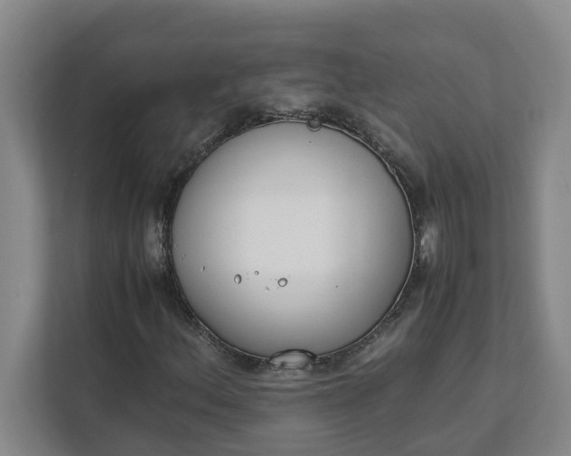 X0000111881156200908061308