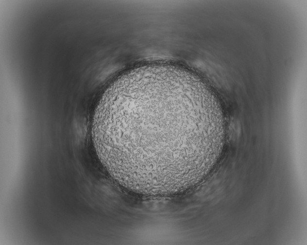 X0000111881157200908061308