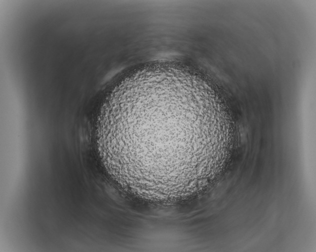 X0000111881158200908061308