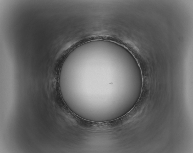 X0000111881159200908061308