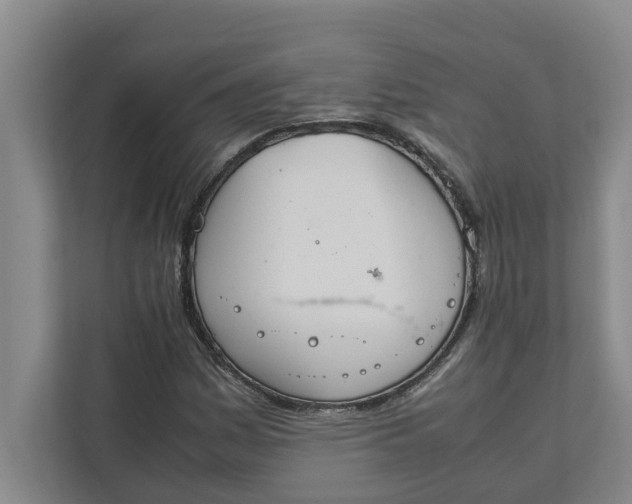 X0000111881161200908061308