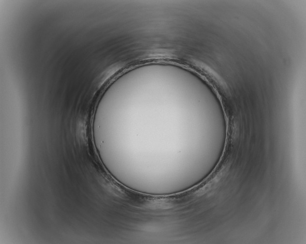 X0000111881162200908061308