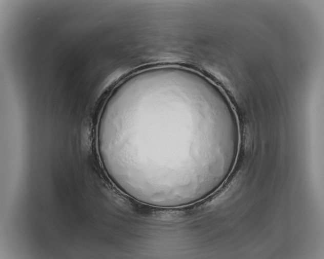 X0000111881163200908061308