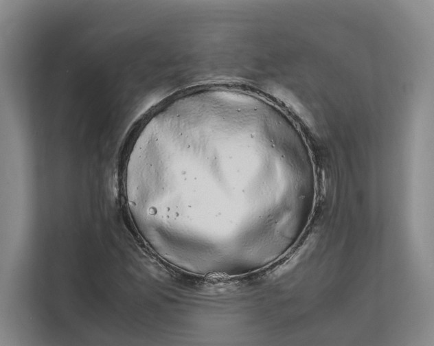 X0000111881165200908061308