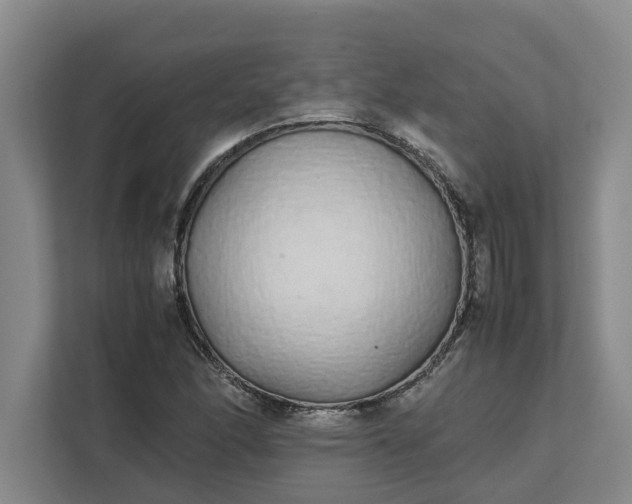 X0000111881166200908061308