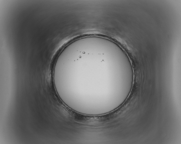 X0000111881167200908061308