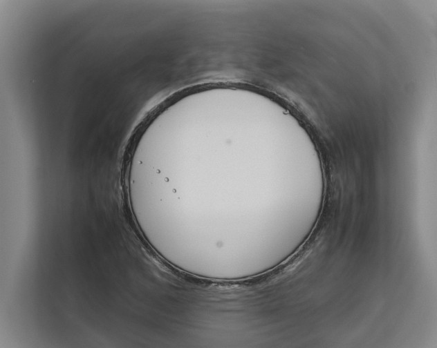 X0000111881168200908061308