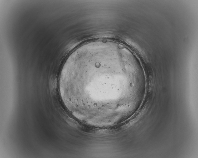 X0000111881169200908061308