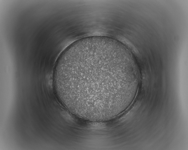 X0000111881170200908061308