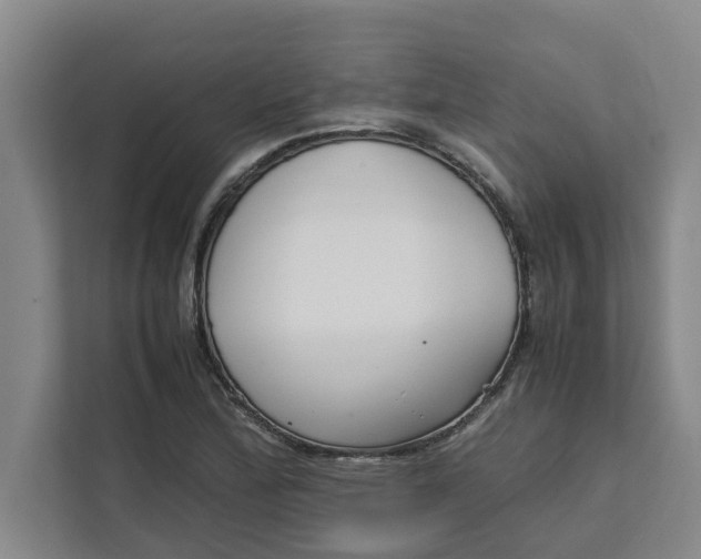 X0000111881172200908061308