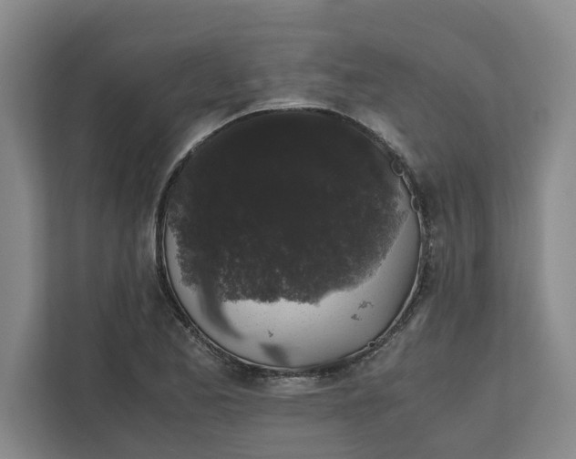 X0000111881173200908061308