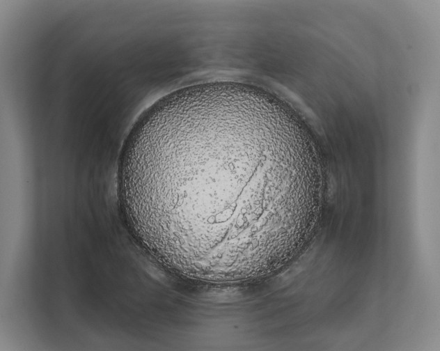 X0000111881174200908061308