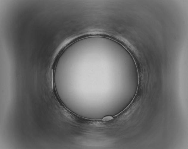 X0000111881175200908061308