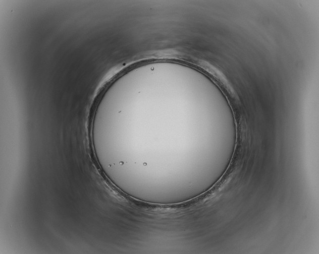 X0000111881176200908061308