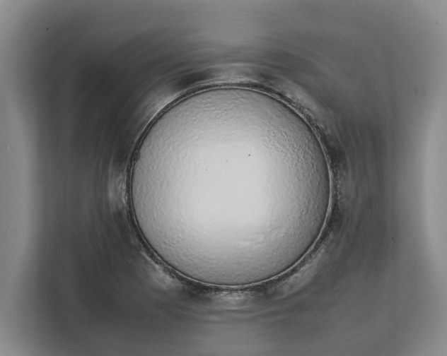 X0000111881177200908061308