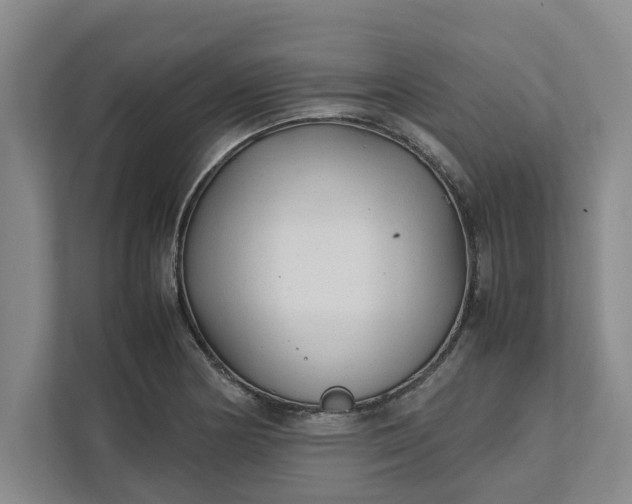 X0000111881178200908061308