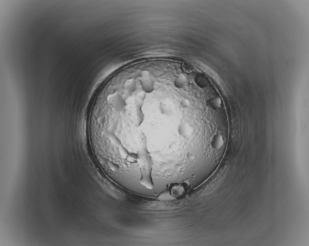 X0000111881179200908061308