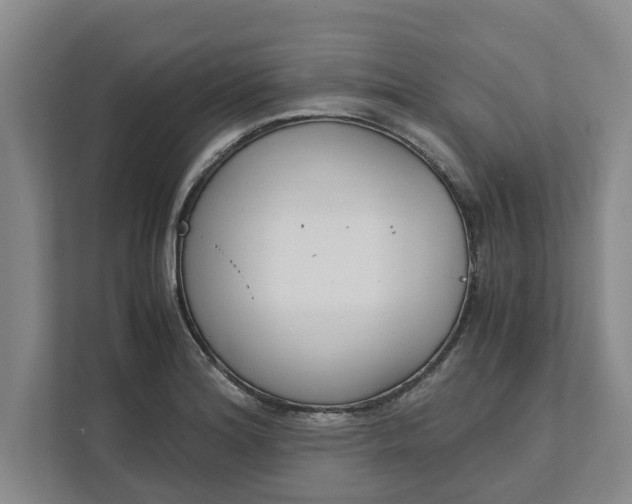 X0000111881180200908061308