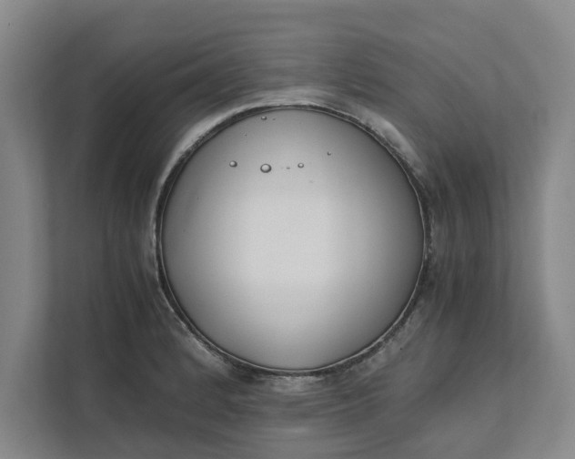 X0000111881184200908061308