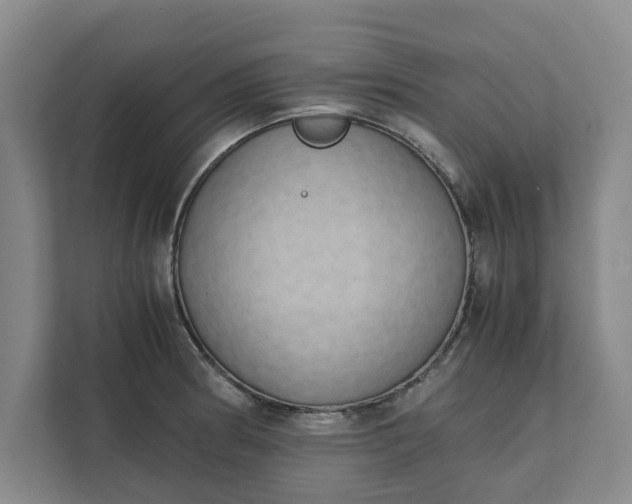 X0000111881186200908061308