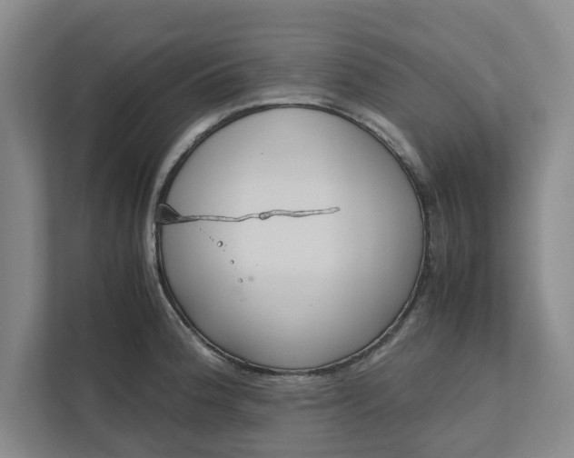 X0000111881188200908061308