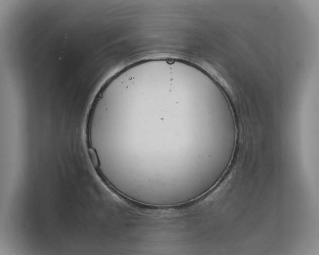 X0000111881189200908061308