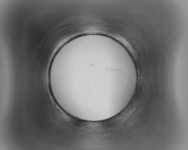 X0000111881191200908061308