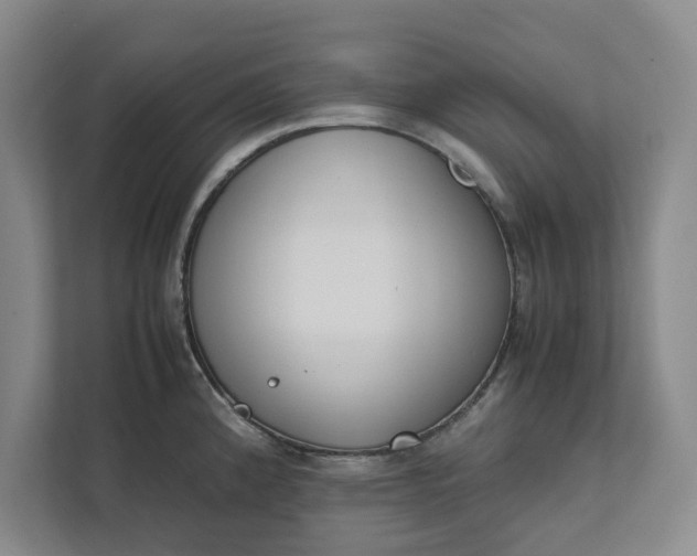 X0000111881192200908061308