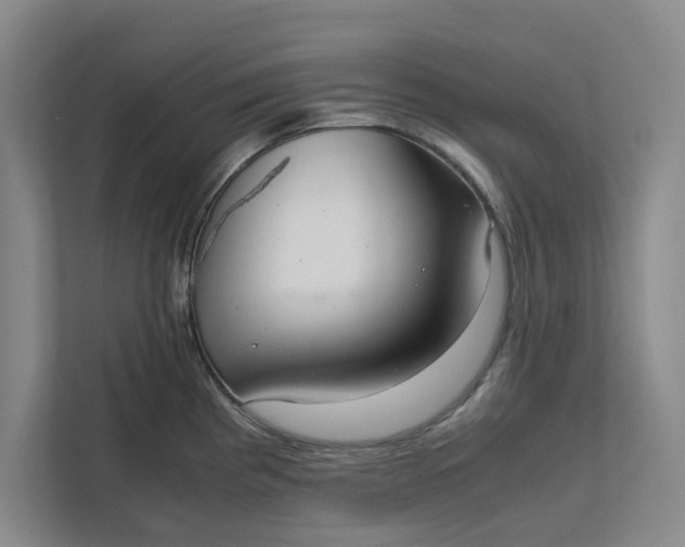 X0000111881193200908061308