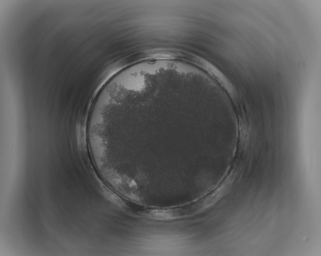 X0000111881194200908061308