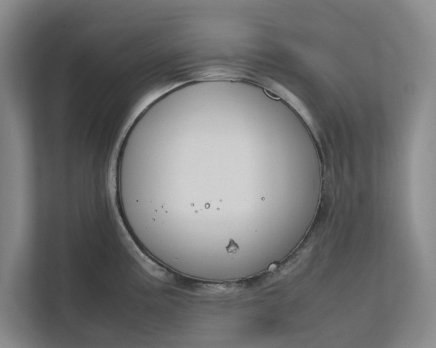 X0000111881195200908061308