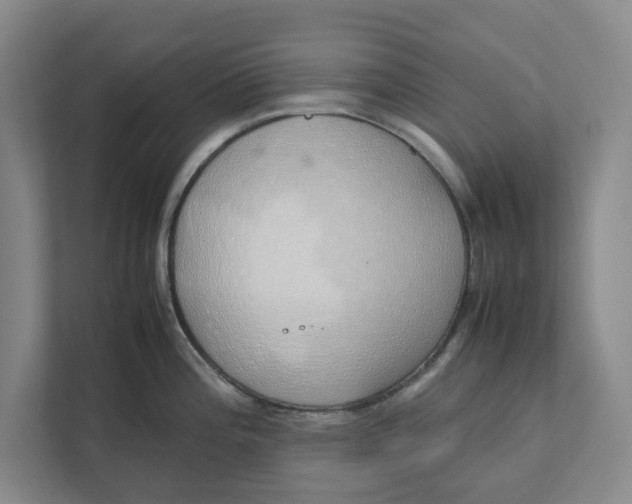 X0000111881196200908061308