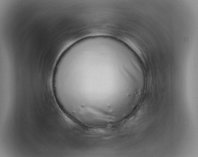 X0000111881197200908061308