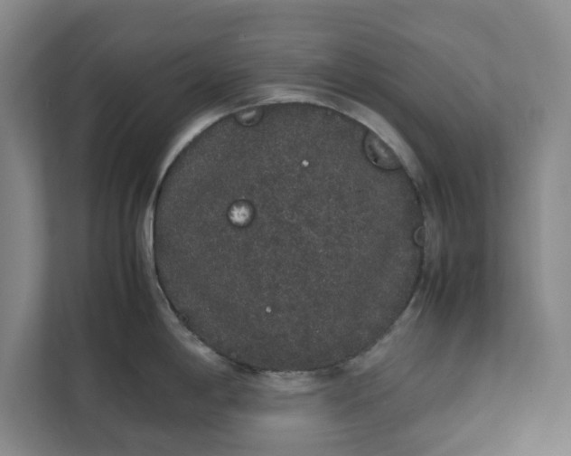 X0000111881198200908061307