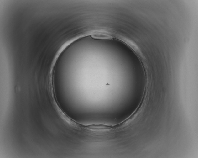 X0000111881200200908061307