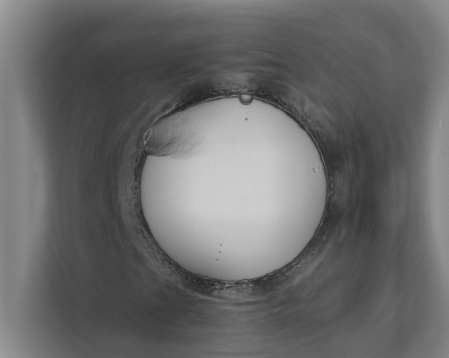 X0000111881201200908061307