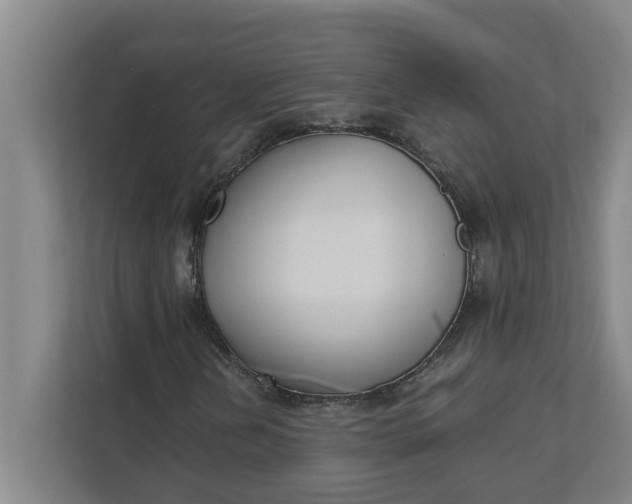 X0000111881202200908061307