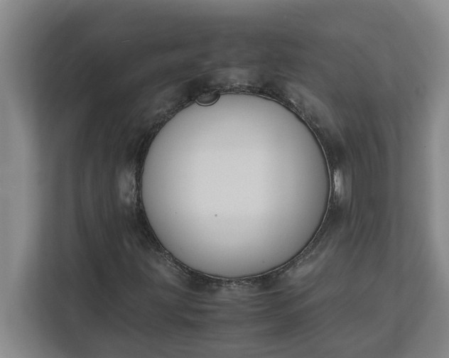 X0000111881203200908061307