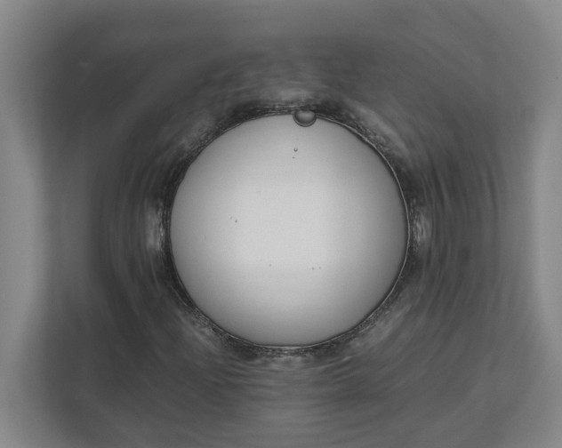 X0000111881204200908061307