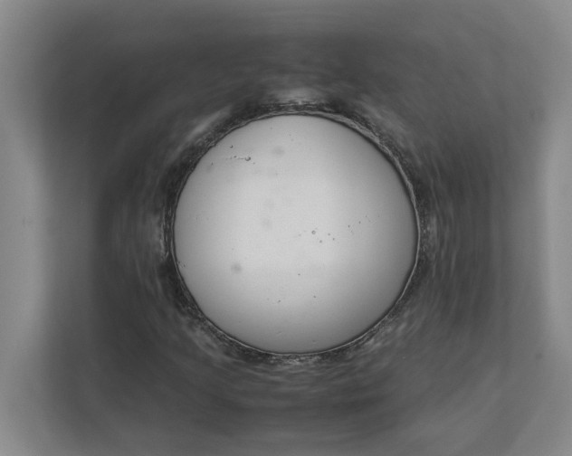 X0000111881205200908061307